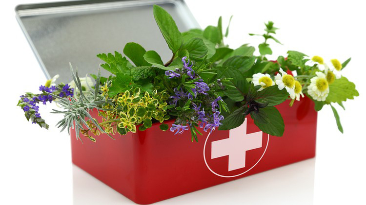 Herbal First Aid 