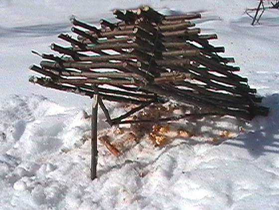 Survival Skills: Build The Ojibwa Bird Snare