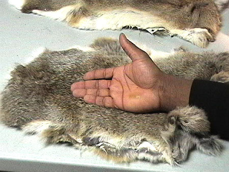 rabbit skin mittens