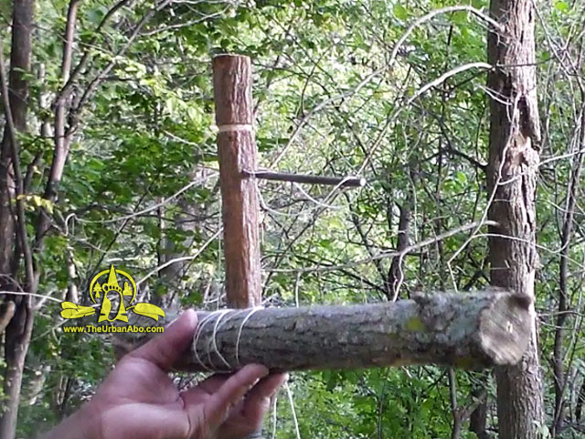 Primitive Technology: Big Fish Trap in The Forest 